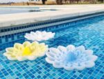 Flotante gigante irupe caja 4x20cm - Imagen 4