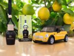 Difusor de Auto