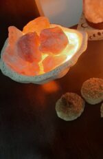 Ostra n1 - Imagen 2