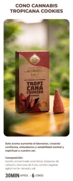 Conos Cannabis - Imagen 6