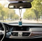 Difusores de Auto Ambar